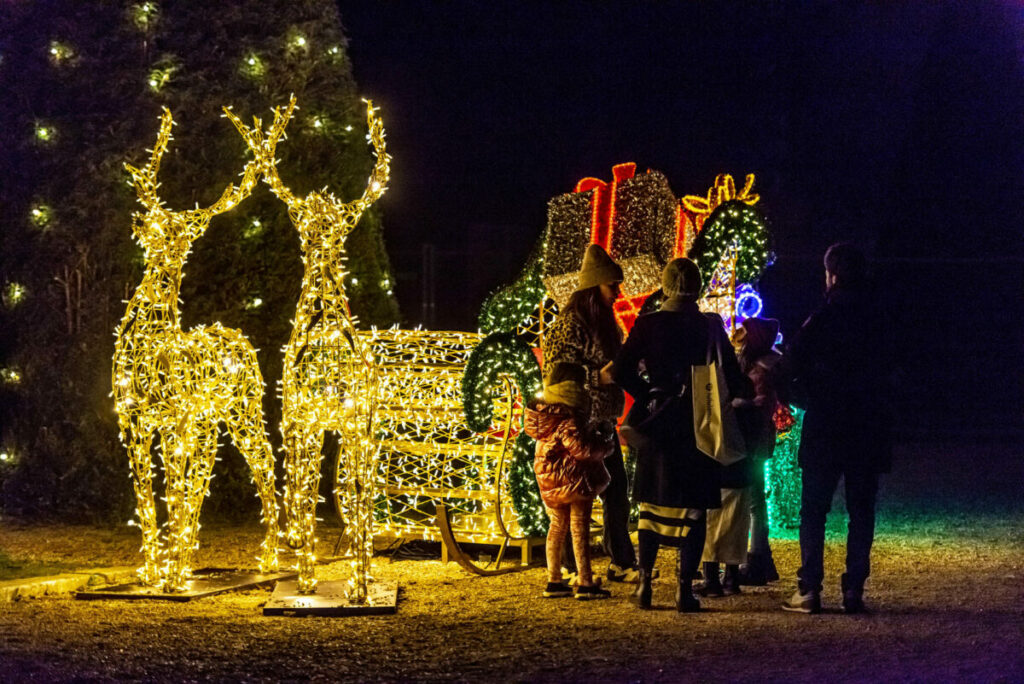 INCANTO DI LUCI Roma Orto Botanico La slitta di Babbo Natale con doni e renne luminosi